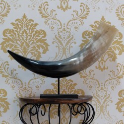 Natural 12-inch Buffalo Horn Mounted on Wood – Unique Antique-Inspired Home Décor